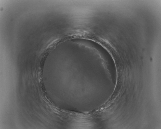 X0000062141399200512161206