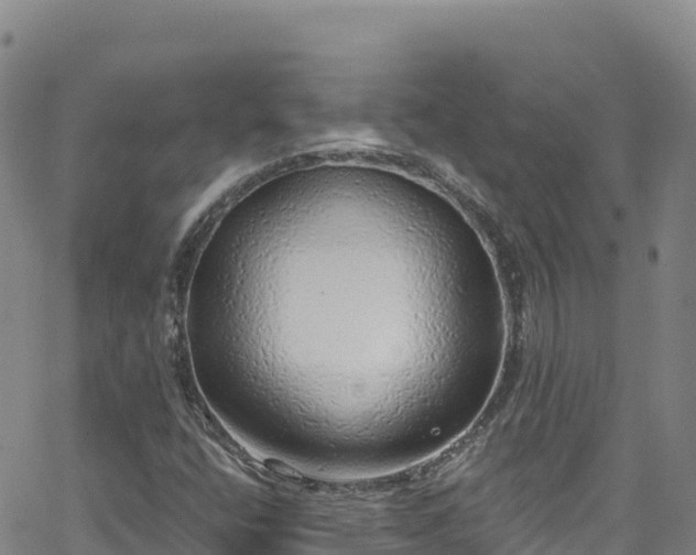 X0000062141400200512161206