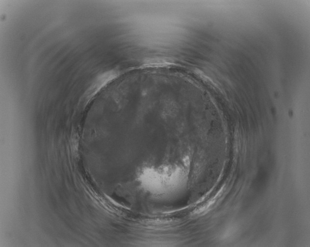 X0000062141401200512161206