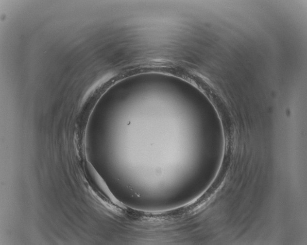 X0000062141402200512161206