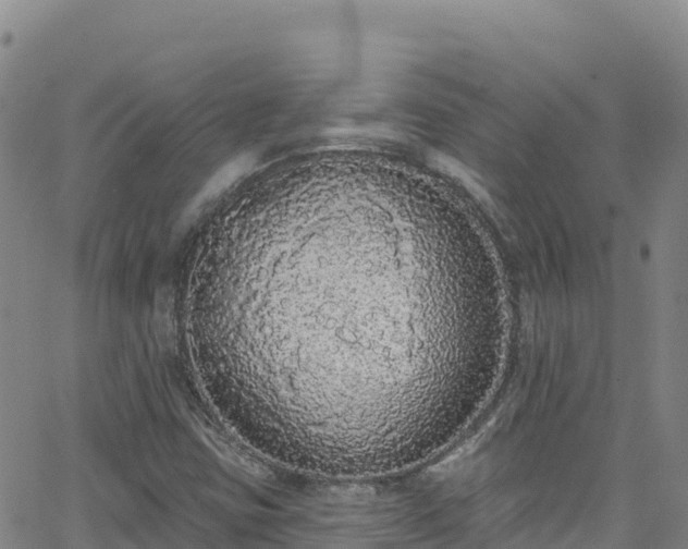 X0000062141403200512161206