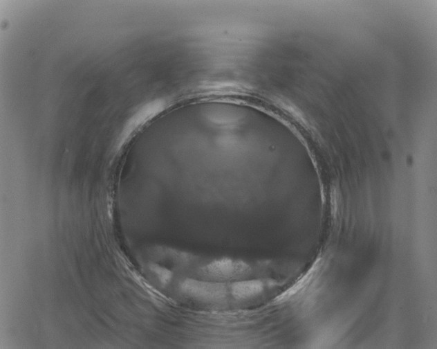 X0000062141405200512161206