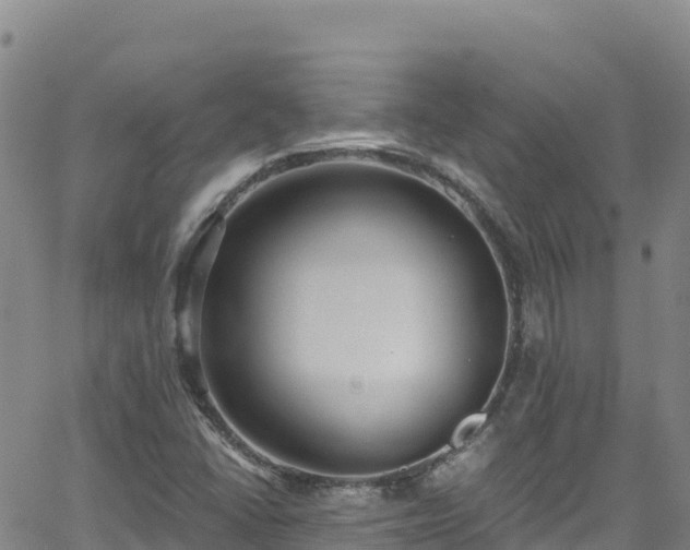 X0000062141406200512161206