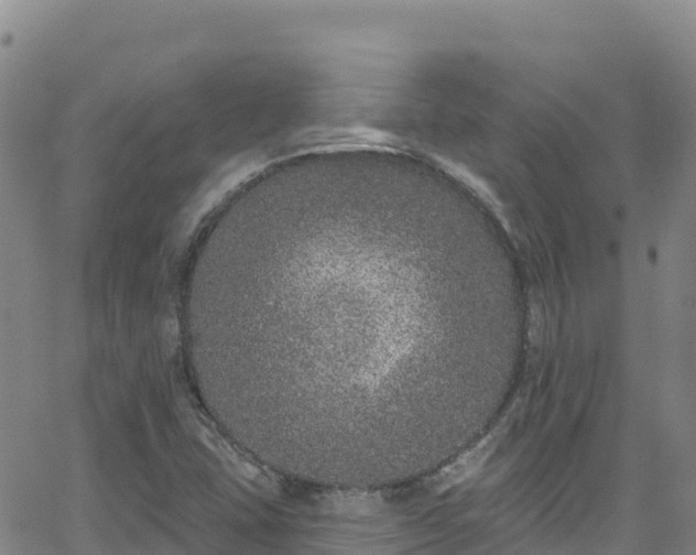 X0000062141407200512161206