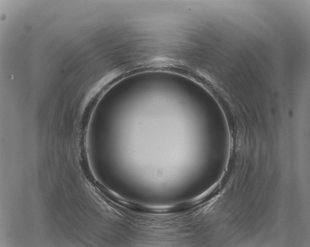 X0000062141410200512161206