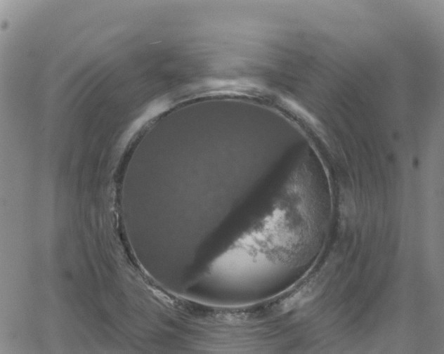 X0000062141411200512161206