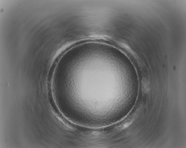 X0000062141412200512161206