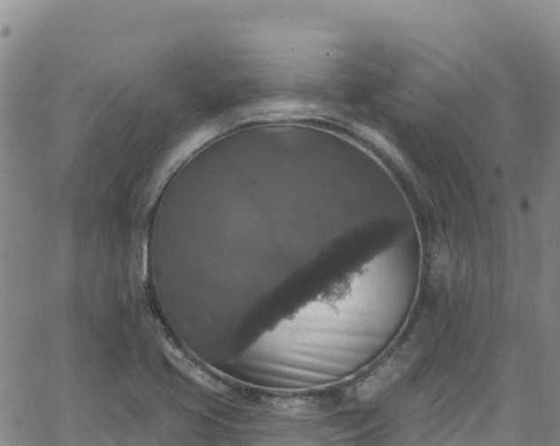 X0000062141413200512161206