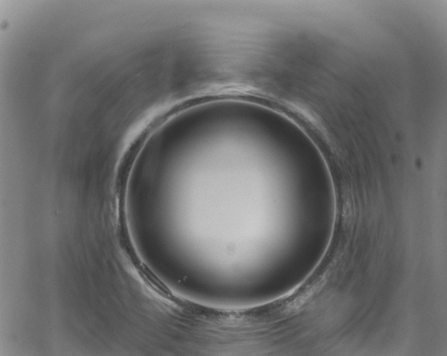 X0000062141414200512161206