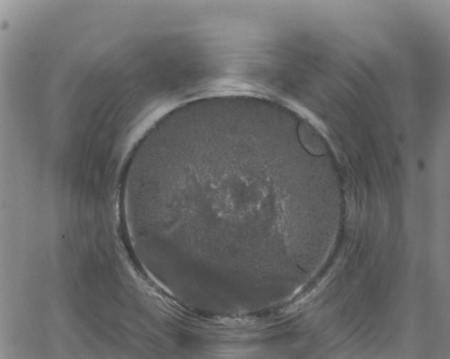 X0000062141415200512161206