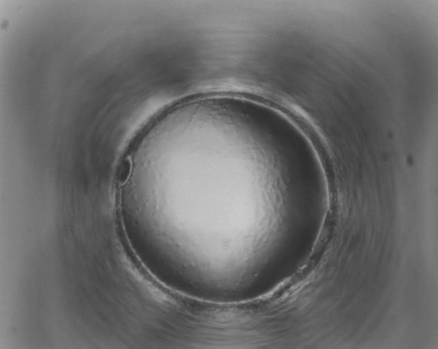 X0000062141416200512161206