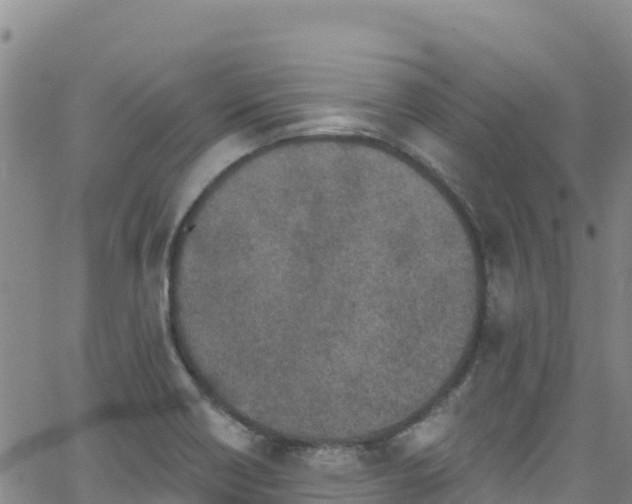 X0000062141418200512161206