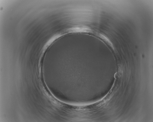 X0000062141419200512161206