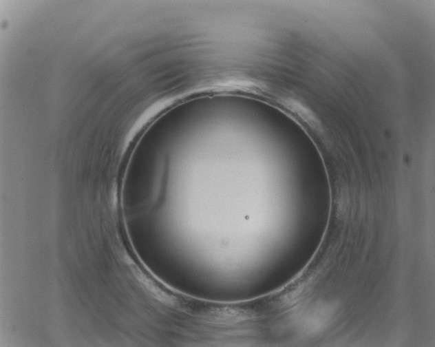 X0000062141420200512161206