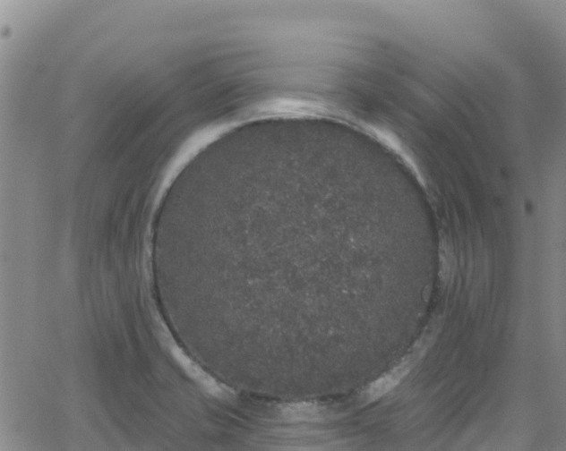 X0000062141421200512161206