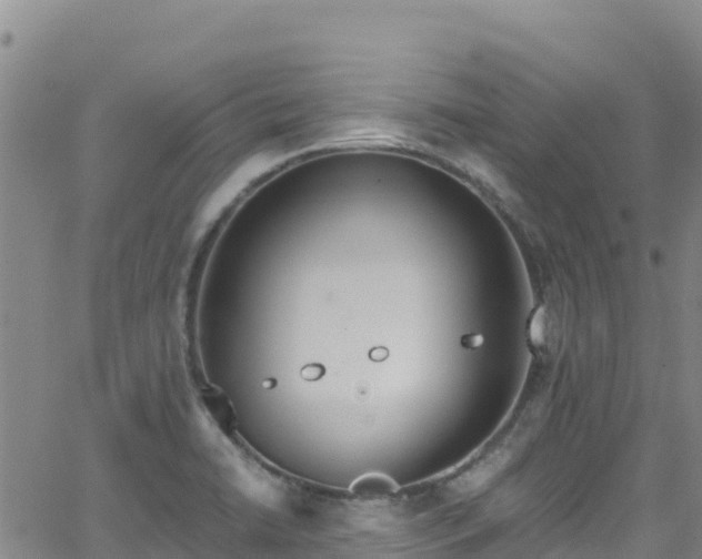 X0000062141422200512161206