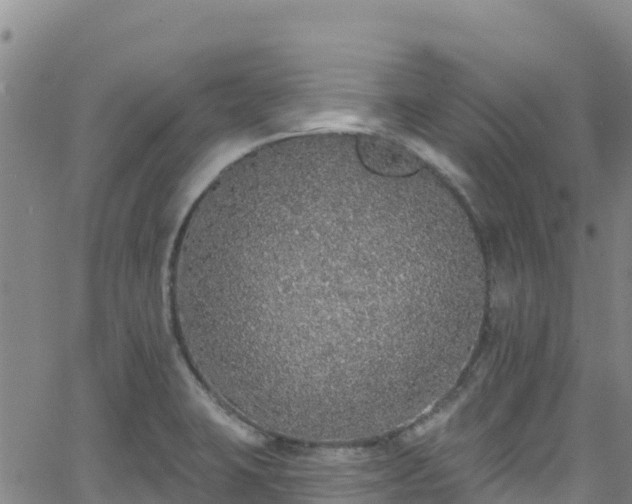 X0000062141423200512161206