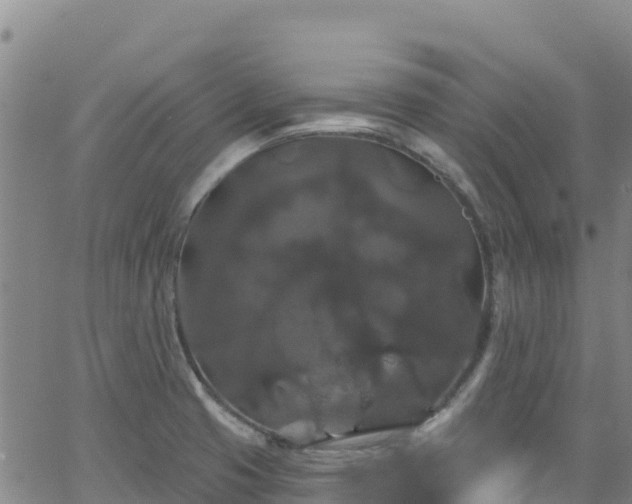 X0000062141425200512161206