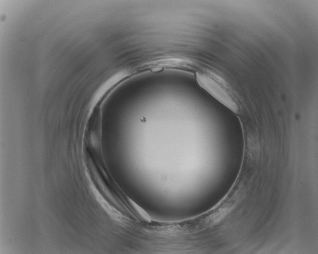 X0000062141426200512161206