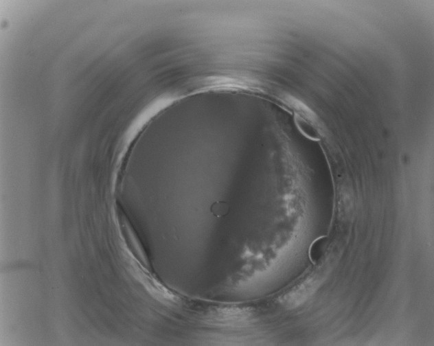 X0000062141427200512161206