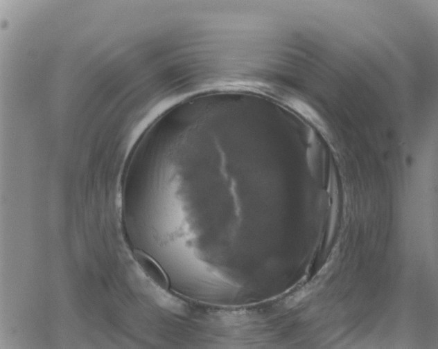 X0000062141428200512161206