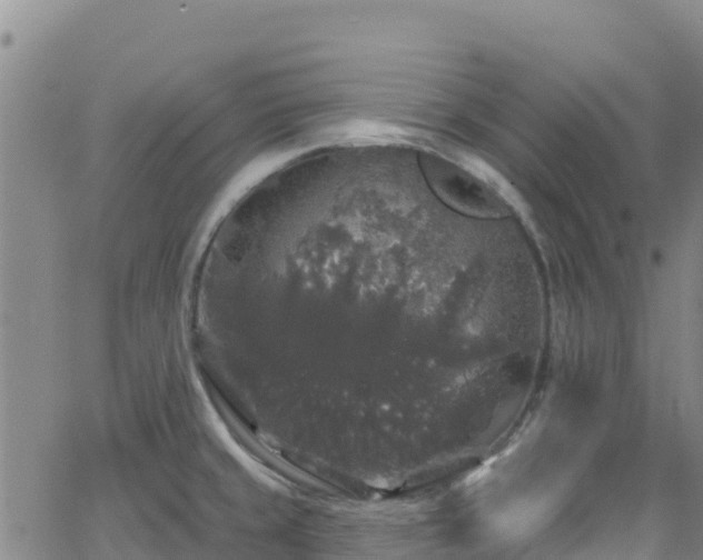 X0000062141429200512161206