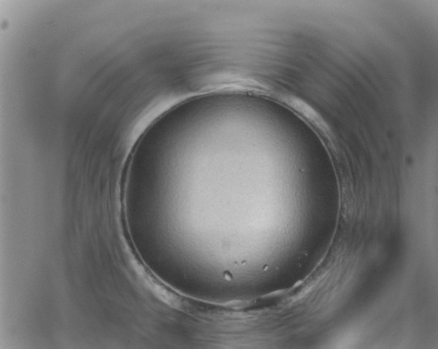 X0000062141431200512161206