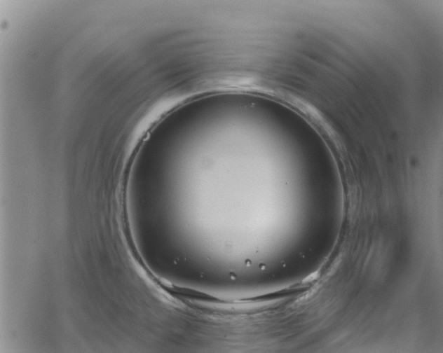 X0000062141432200512161206