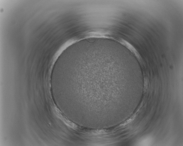 X0000062141435200512161206