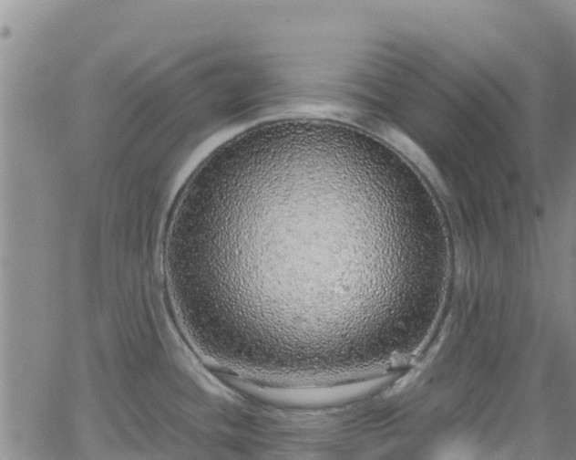 X0000062141436200512161206