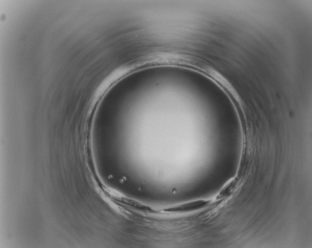 X0000062141437200512161206