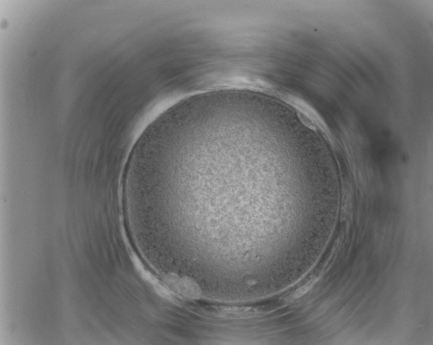 X0000062141439200512161206