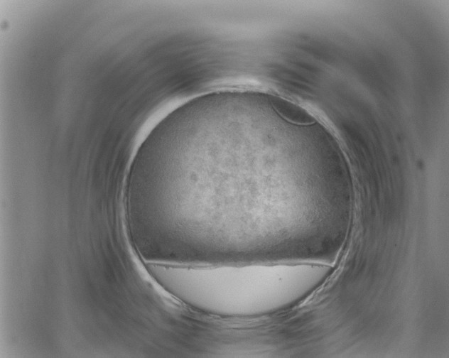 X0000062141440200512161206