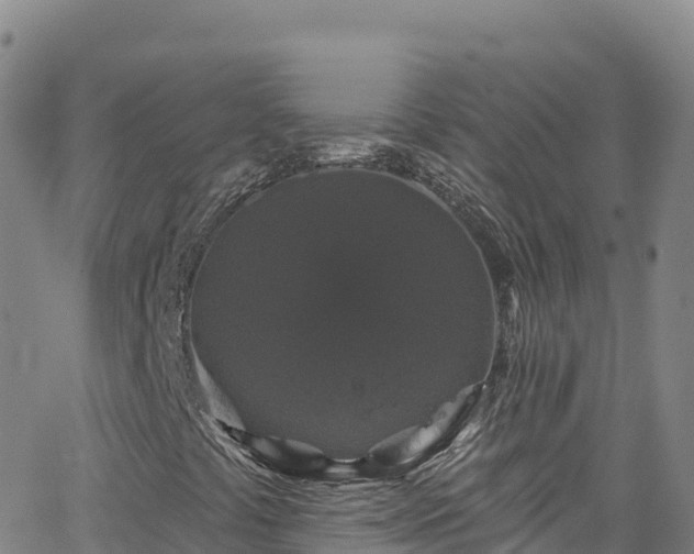 X0000062141441200512161205