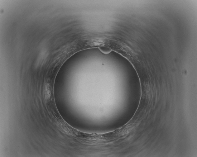 X0000062141442200512161205