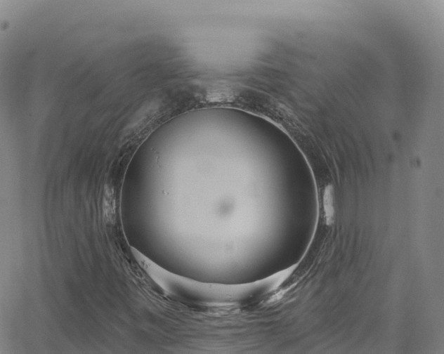 X0000062141443200512161205