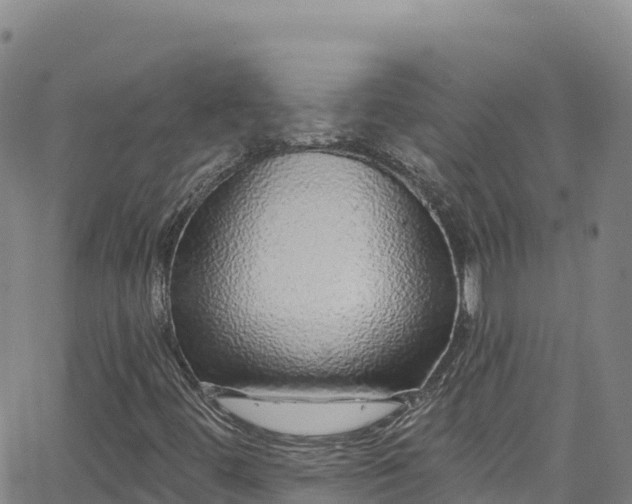 X0000062141444200512161205