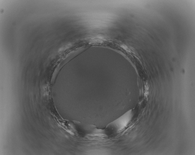 X0000062141445200512161205