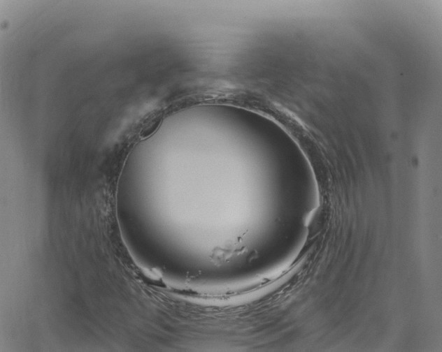 X0000062141447200512161205