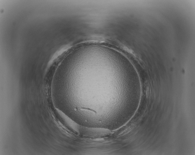 X0000062141448200512161205