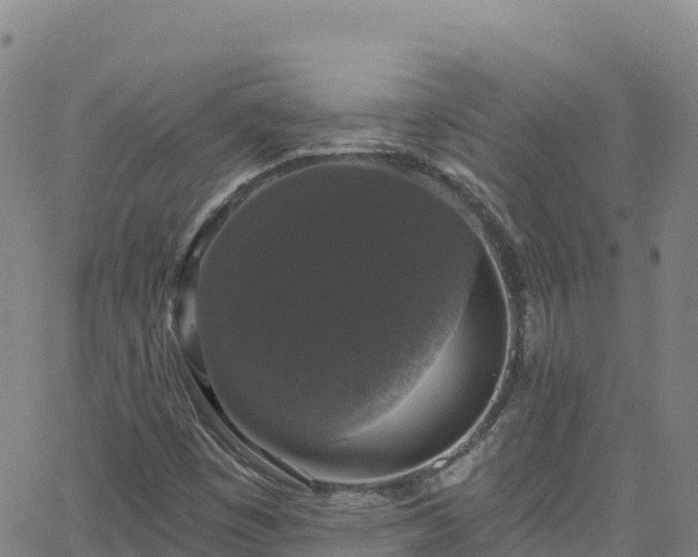 X0000062141449200512161205