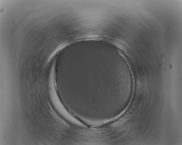 X0000062141450200512161205