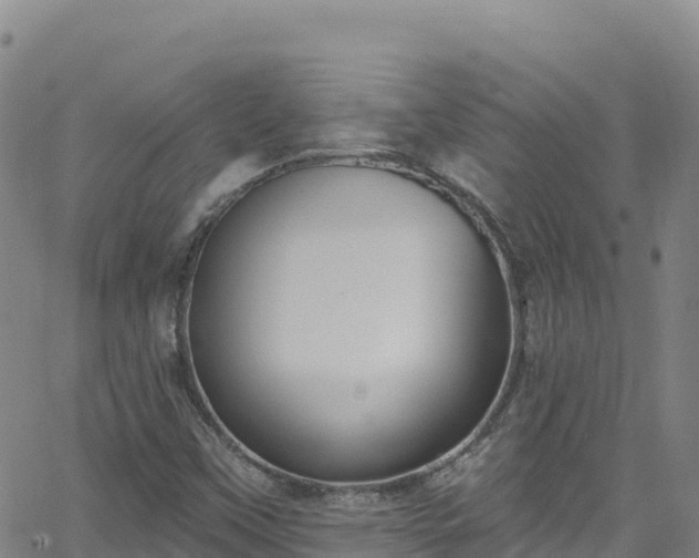 X0000062141451200512161205