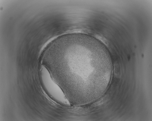 X0000062141452200512161205