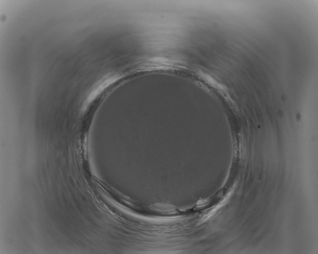 X0000062141453200512161205