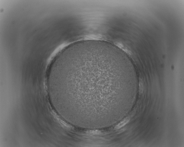 X0000062141454200512161205