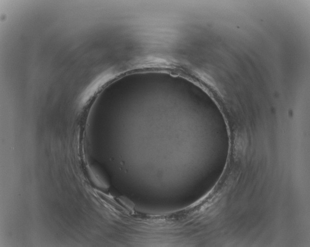 X0000062141455200512161205