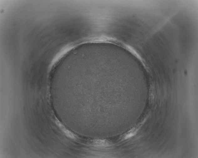 X0000062141456200512161205