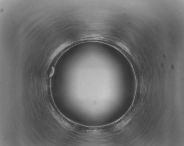 X0000062141458200512161205