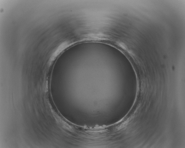 X0000062141459200512161205